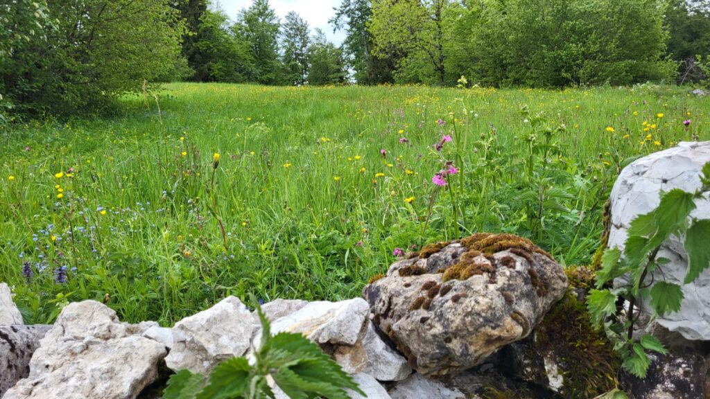 exterieurs paysage