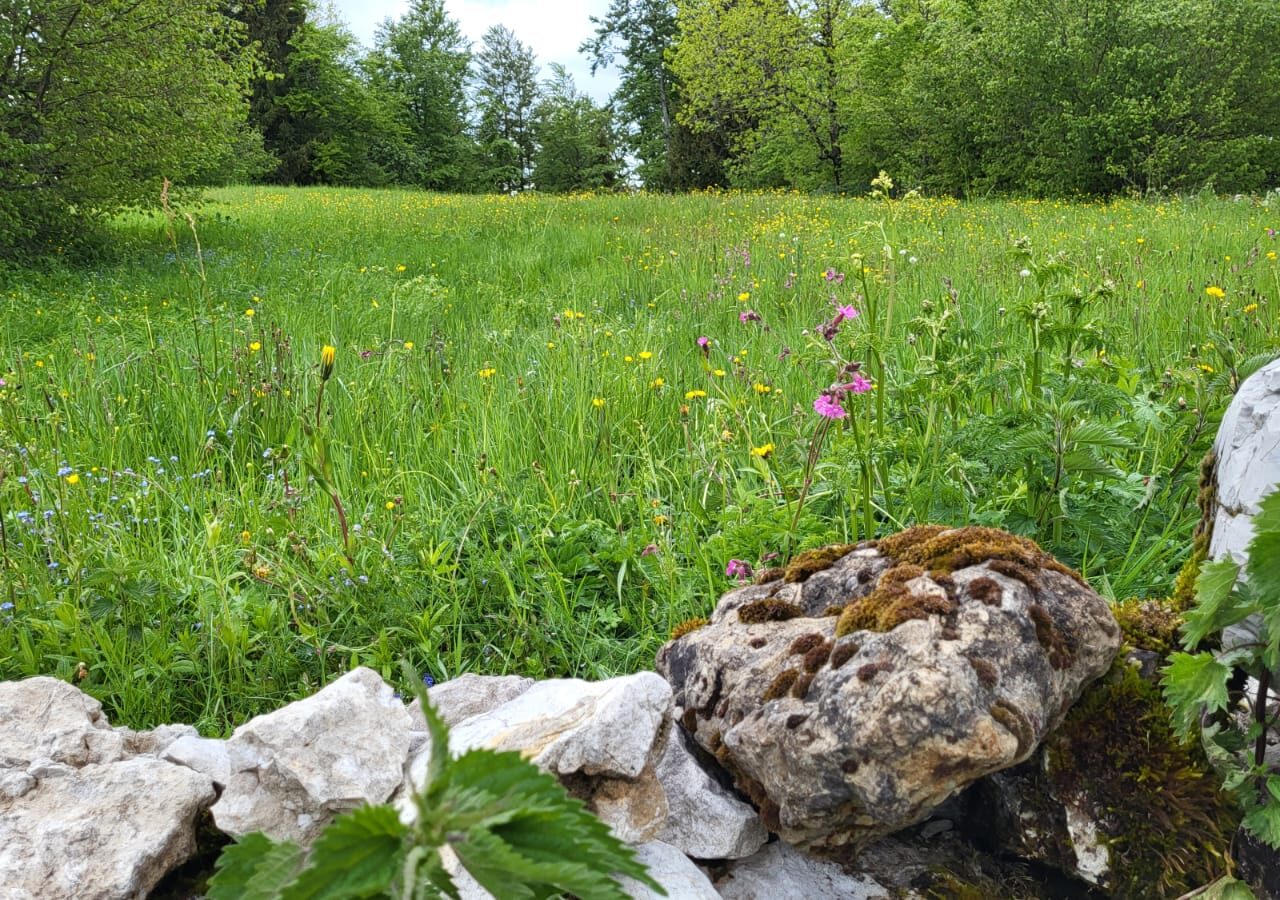 exterieurs paysage