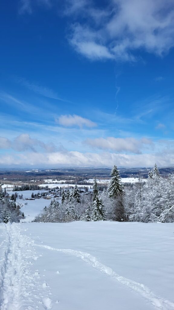 neige et sapins