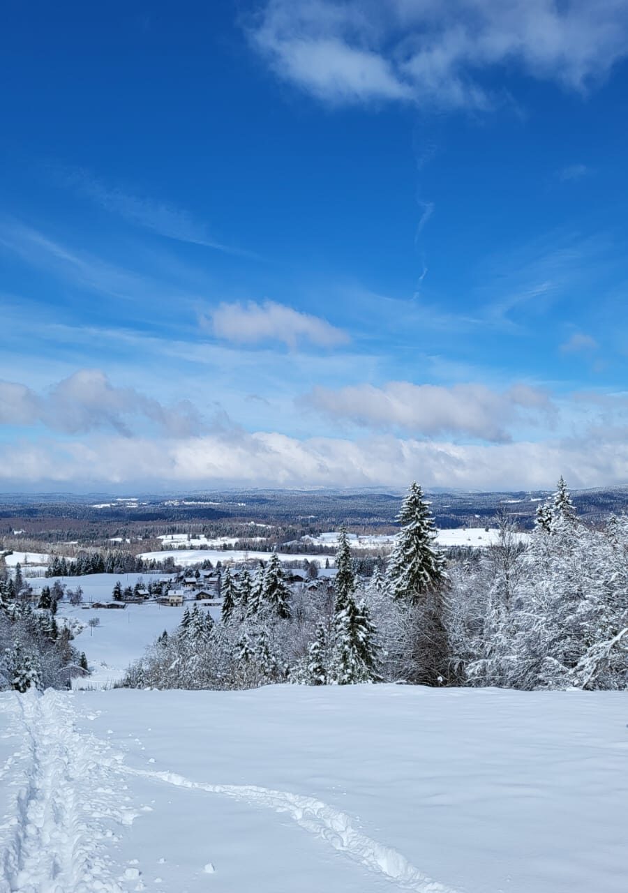 neige et sapins