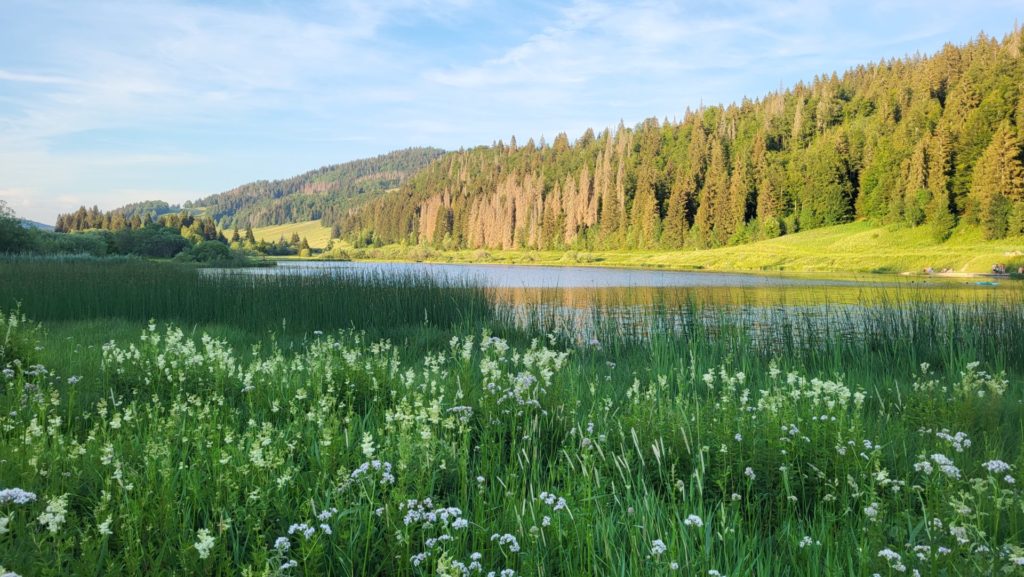 LAC LAMOURA